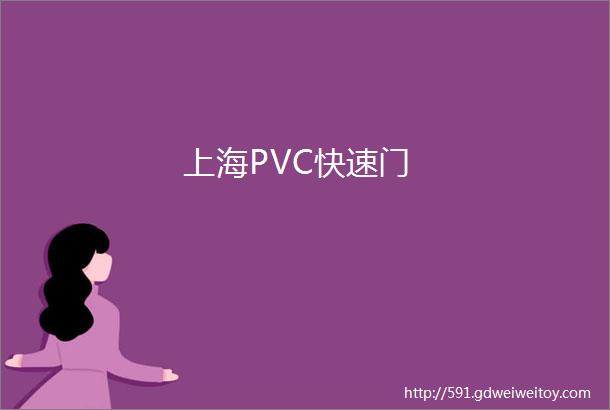 上海PVC快速门
