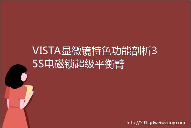 VISTA显微镜特色功能剖析35S电磁锁超级平衡臂